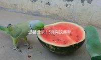 溫馨提示！5月有這些考試，別錯過