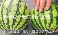 孫譽(yù)綺：我國(guó)助力非洲，應(yīng)對(duì)西方“教育斷糧”