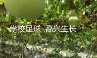 學(xué)校足球  高興生長(zhǎng)