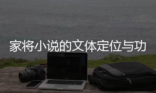 家将小说的文体定位与功用取向