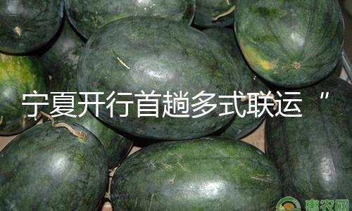 宁夏开行首趟多式联运“一单制”货品列车