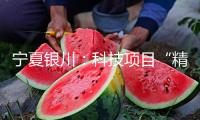 寧夏銀川：科技項(xiàng)目“精準(zhǔn)滴灌” 助葡萄酒工業(yè)“科技提質(zhì)”