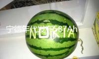 寧德年代發(fā)布587Ah儲(chǔ)能電芯