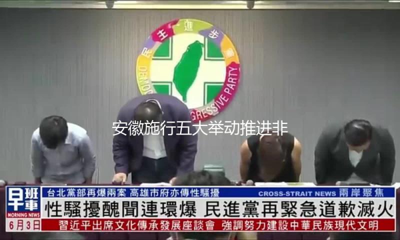 安徽施行五大举动推进非遗特色产业开展
