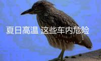夏日高溫 這些車內危險快鏟除