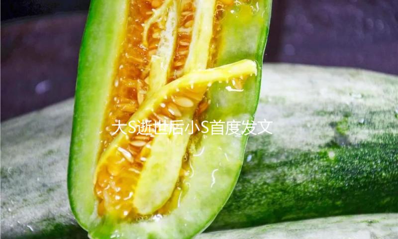 大S逝世后小S首度发文 晒姐妹牵手照令人动容