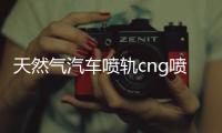 天然氣汽車噴軌cng噴軌油改氣燃氣改裝配件高速靜音共軌頭噴氣嘴