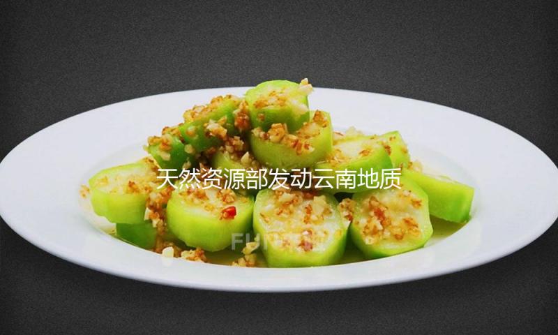 天然资源部发动云南地质灾害防护Ⅳ级呼应 — 新京报