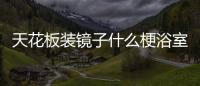 天花板裝鏡子什么梗浴室裝把手