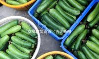 女高音吳睿睿“古詞新唱”，穿戴漢服唱唐詩宋詞