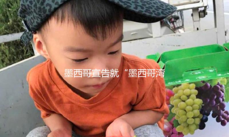 墨西哥宣告就“墨西哥湾”更名一事申述谷歌