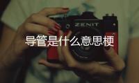 導(dǎo)管是什么意思梗