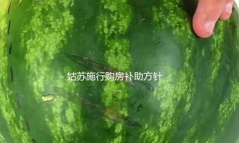 姑苏施行购房补助方针 购新建产品住房补助0.5%