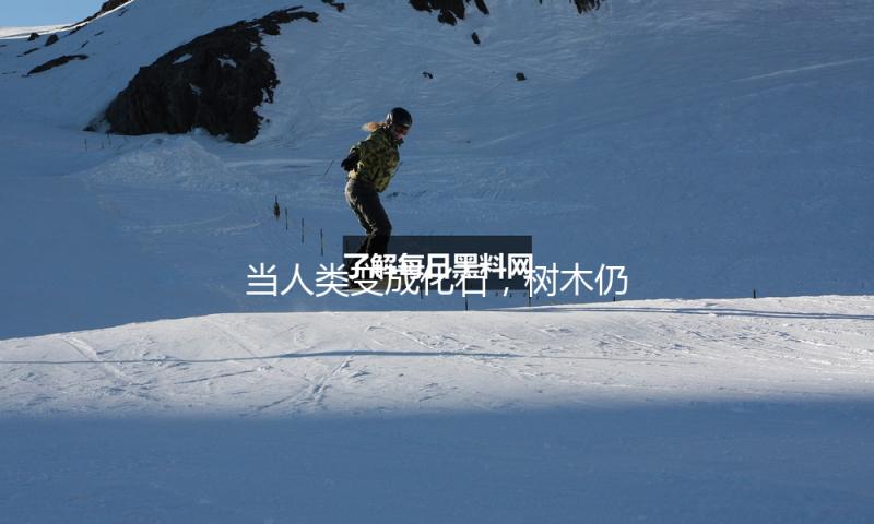 当人类变成化石，树木仍将耸峙不倒 — 新京报
