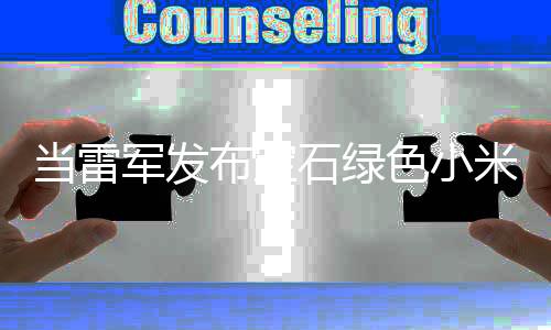 当雷军发布宝石绿色小米YU7，“我国邮政车”成网友热评
