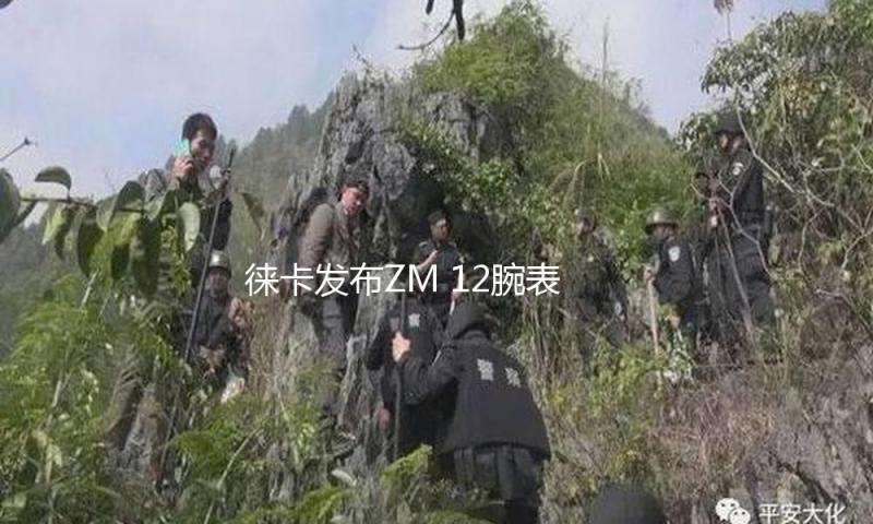徕卡发布ZM 12腕表：5.99万 镶嵌38颗宝石