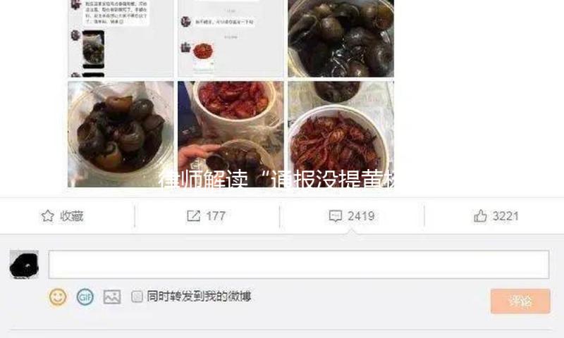 律师解读“通报没提黄杨钿甜耳环真假”：查询刚开始、没有完结，有必要发布成果