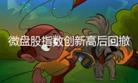 微盤(pán)股指數(shù)創(chuàng)新高后回撤，后市不合閃現(xiàn)