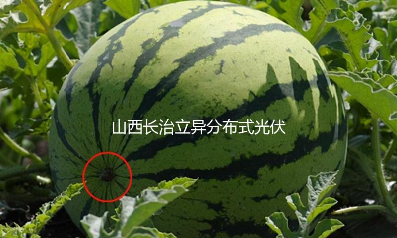 山西长治立异分布式光伏并网形式
