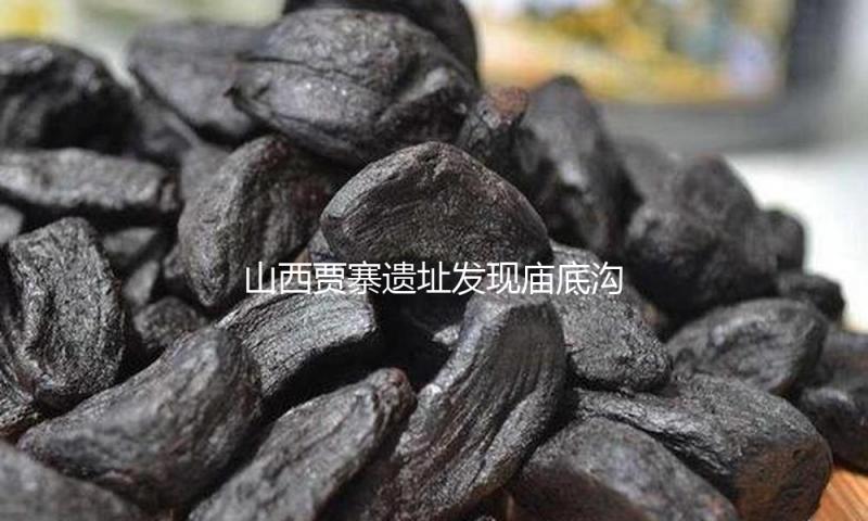 山西贾寨遗址发现庙底沟二期文明房址