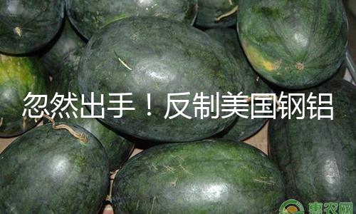 忽然出手！反制美国钢铝关税 印度拟对美国部分产品征收关税