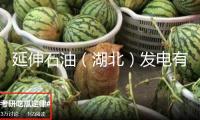 延伸石油（湖北）發電有限公司被罰35萬，未按規則處理工程質量監督手續