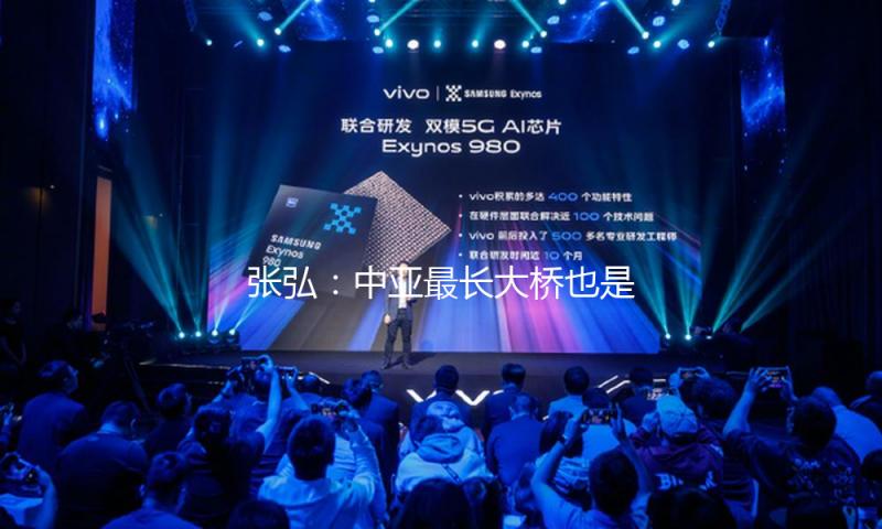 张弘：中亚最长大桥也是中塔协作枢纽
