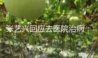 張藝興回應去醫院治病：便是看了下身體一切都挺好