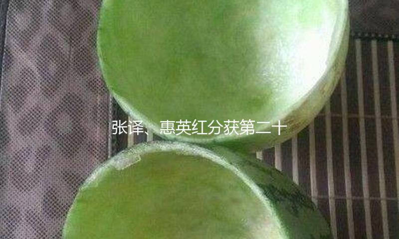 张译、惠英红分获第二十届中国电影华表奖优异男、女演员奖