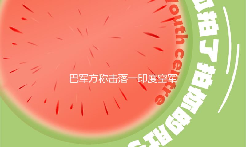 巴军方称击落一印度空军战斗机，印度飞行员被俘 — 新京报