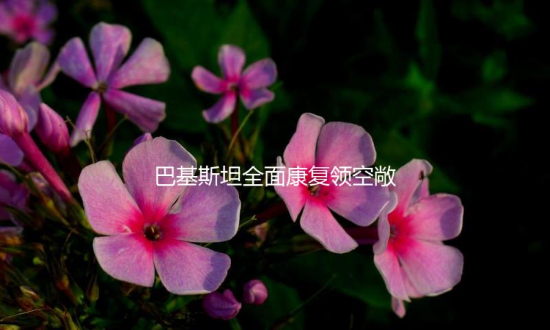 巴基斯坦全面康复领空敞开 — 新京报