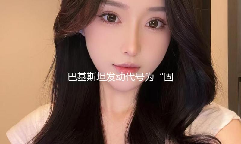 巴基斯坦发动代号为“固若金汤”的军事行动，以回应印度寻衅行为 — 新京报