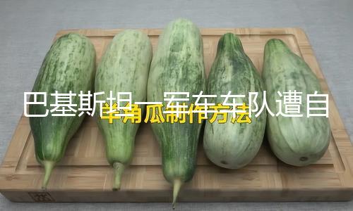 巴基斯坦一军车车队遭自杀式轿车炸弹突击至少5人逝世 — 新京报