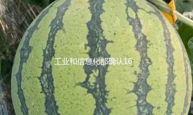工业和信息化部确认168个万兆光网试点入围项目