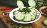廣西北海至潿洲島一切往復航班復航