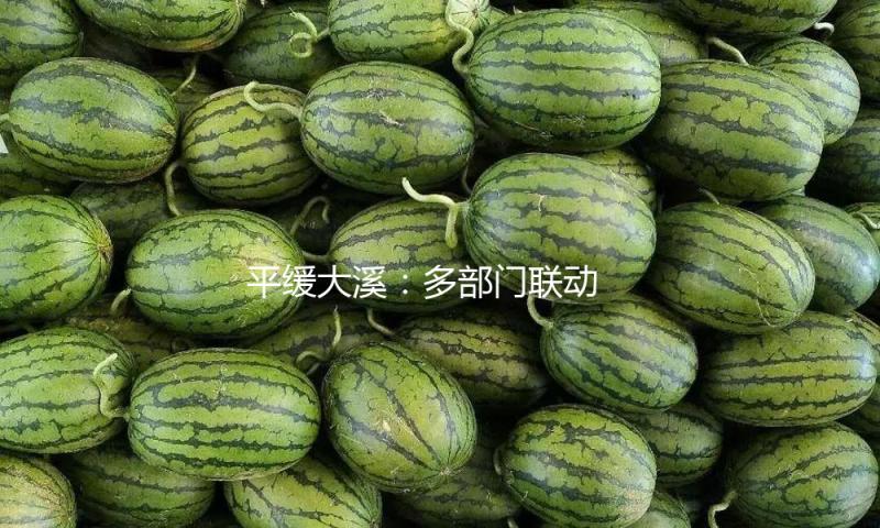 平缓大溪：多部门联动 筑牢要点场所安全防地
