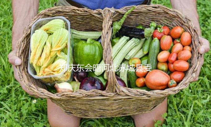 郑庆东会晤河北赤城县委书记赵红革一行