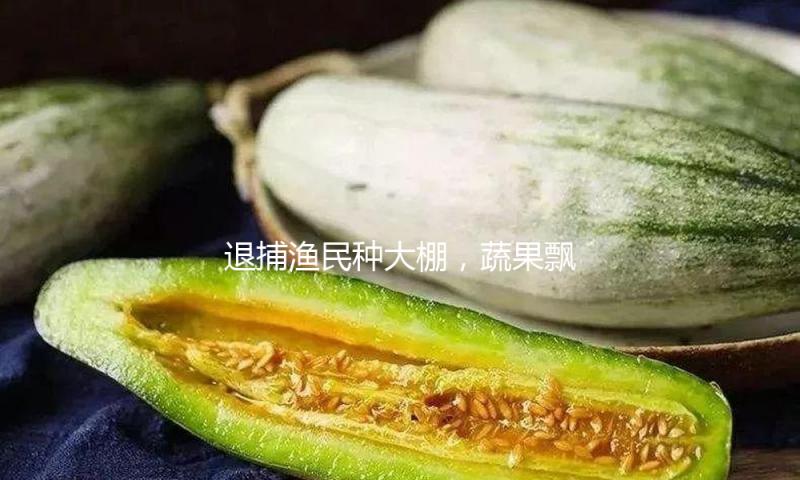退捕渔民种大棚，蔬果飘香四季生金