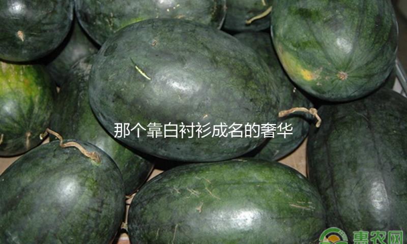 那个靠白衬衫成名的奢华品牌