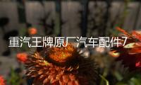重汽王牌原廠汽車配件737B757B777B自卸貨車剎車轉(zhuǎn)向燈后尾燈總成