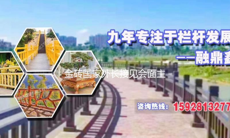 金砖国家外长接见会面主席声明（摘要）发布 — 新京报