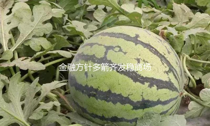 金融方针多箭齐发稳商场稳预期