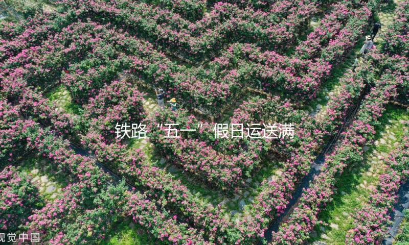 铁路“五一”假日运送满意收官 客货运送两旺 多项运送目标创前史新高