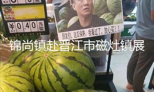 锦尚镇赴晋江市磁灶镇展开村庄复兴学习调查活动