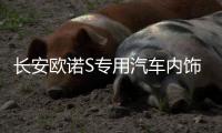 長安歐諾S專用汽車內(nèi)飾裝飾改裝配件中控儀表臺(tái)防曬隔遮光避光墊