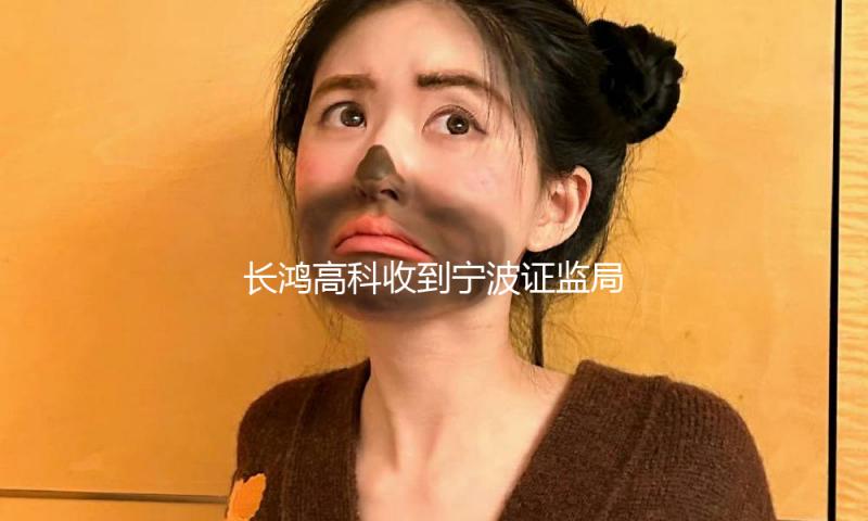 长鸿高科收到宁波证监局对公司及相关责任人出具的警示函 — 新京报