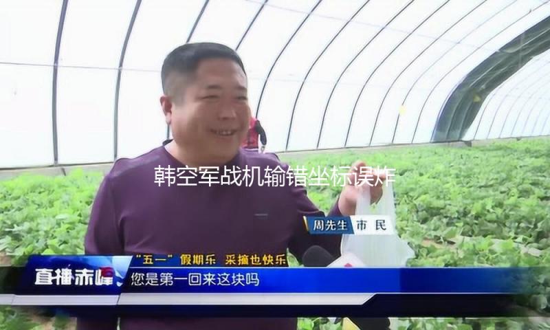 韩空军战机输错坐标误炸居民区 已致29人受伤