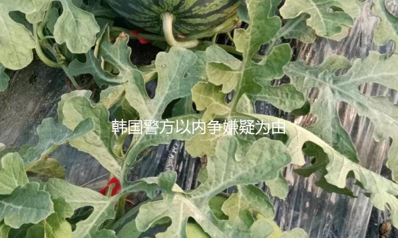 韩国警方以内争嫌疑为由对韩德洙、崔相穆下达出国禁令 — 新京报
