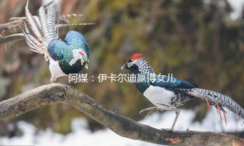 阿媒：伊卡尔迪赢得女儿监护权，旺达不履行将被罚8000万比索