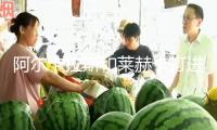 阿爾卡拉斯和萊赫卡打進(jìn)女王杯決賽